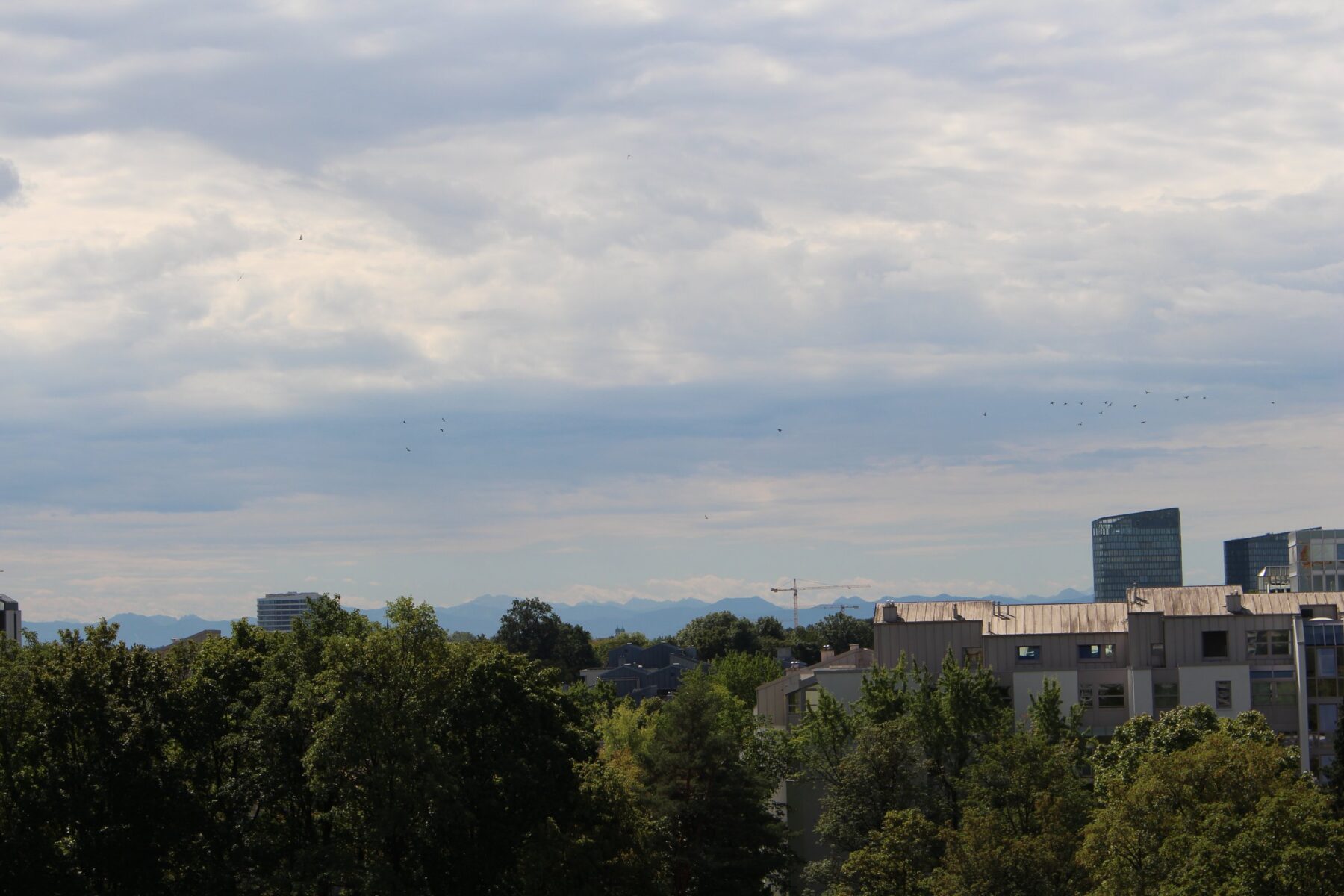 Ausblick aus der Wohnung im 6. Obergeschoss